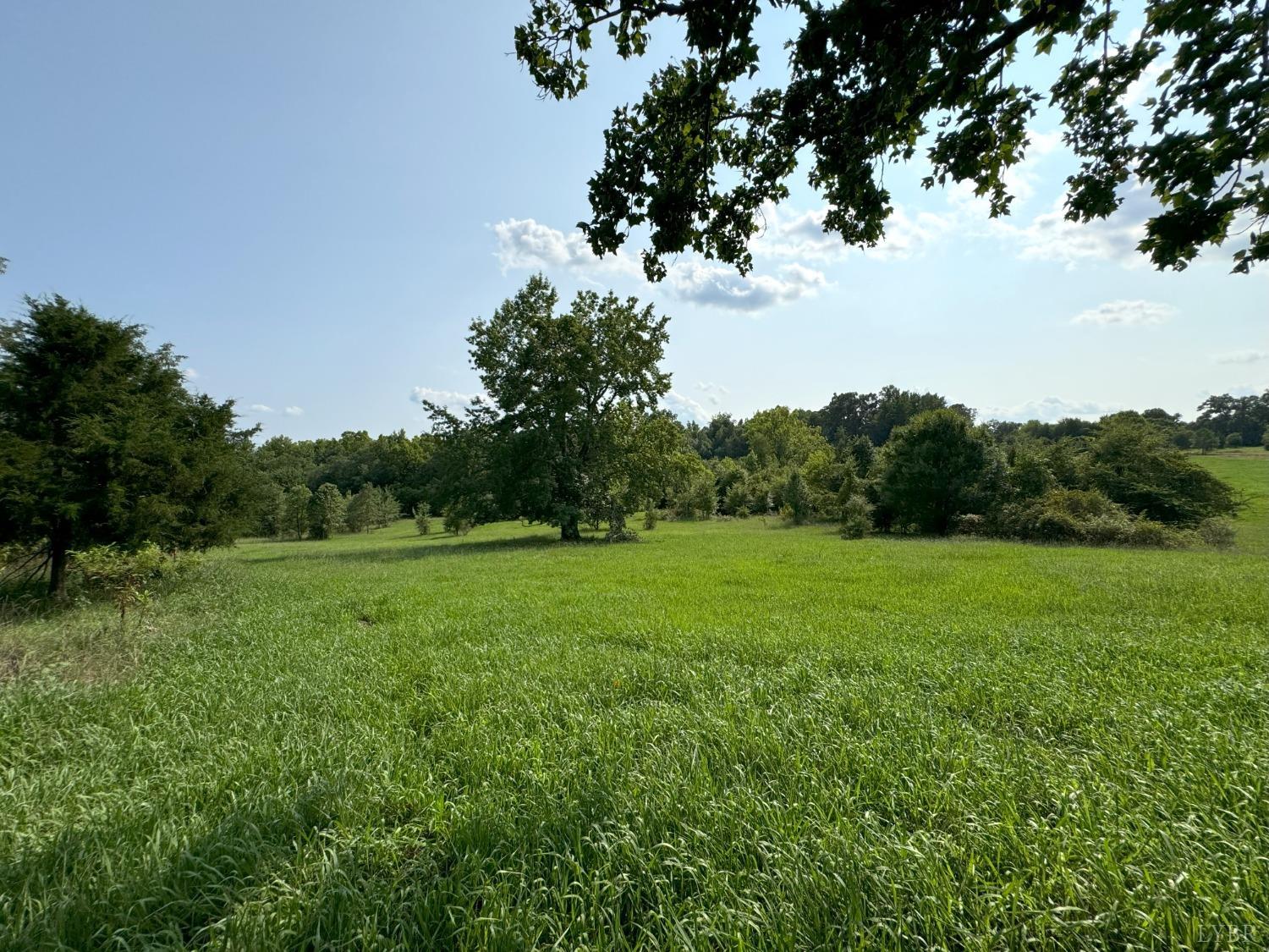 Fearstown Parcel 3 Road, Randolph, Virginia image 3