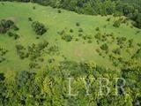 Fearstown Parcel 3 Road, Randolph, Virginia image 13