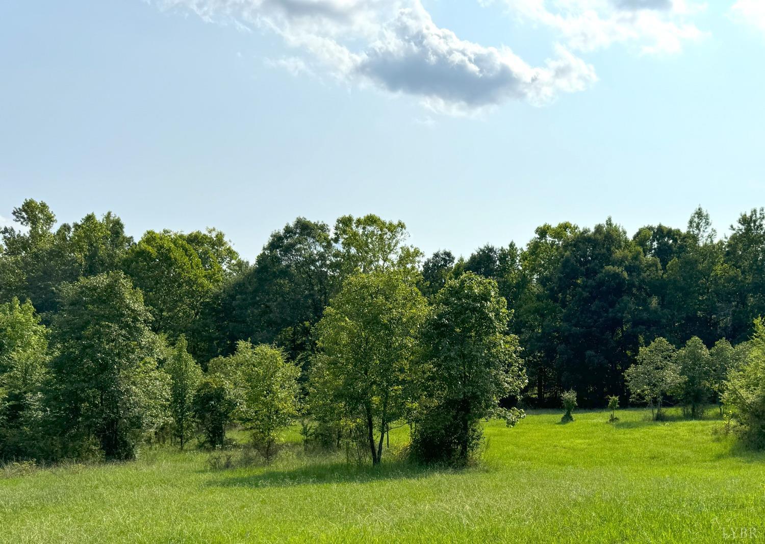 Fearstown Parcel 3 Road, Randolph, Virginia image 1