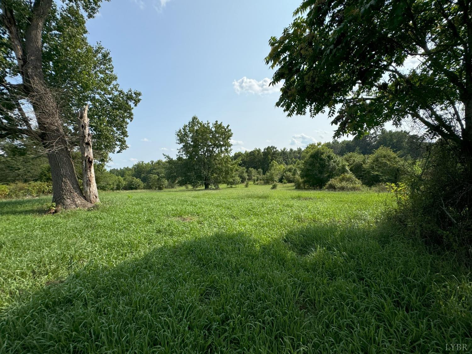 Fearstown Parcel 3 Road, Randolph, Virginia image 6