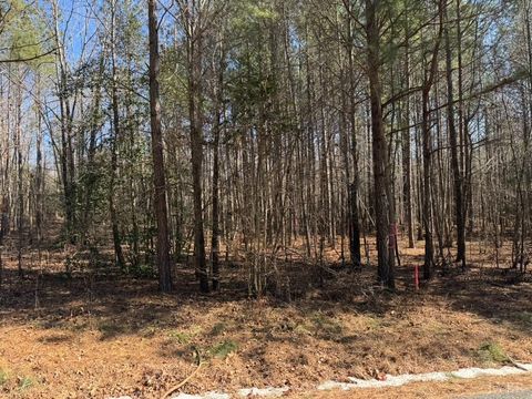 Tiny photo for 0 Sturgeon Road, Dolphin, VA 23843 (MLS # 365766)