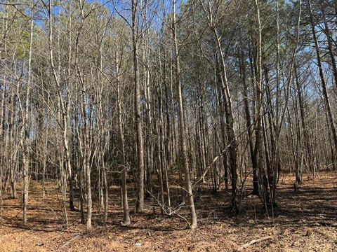 Tiny photo for 0 Sturgeon Road, Dolphin, VA 23843 (MLS # 365766)