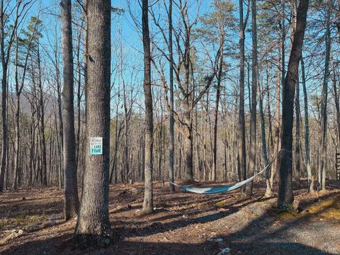 Tiny photo for 507 Faith Cove Drive, Sandy Level, VA 24161 (MLS # 364136)