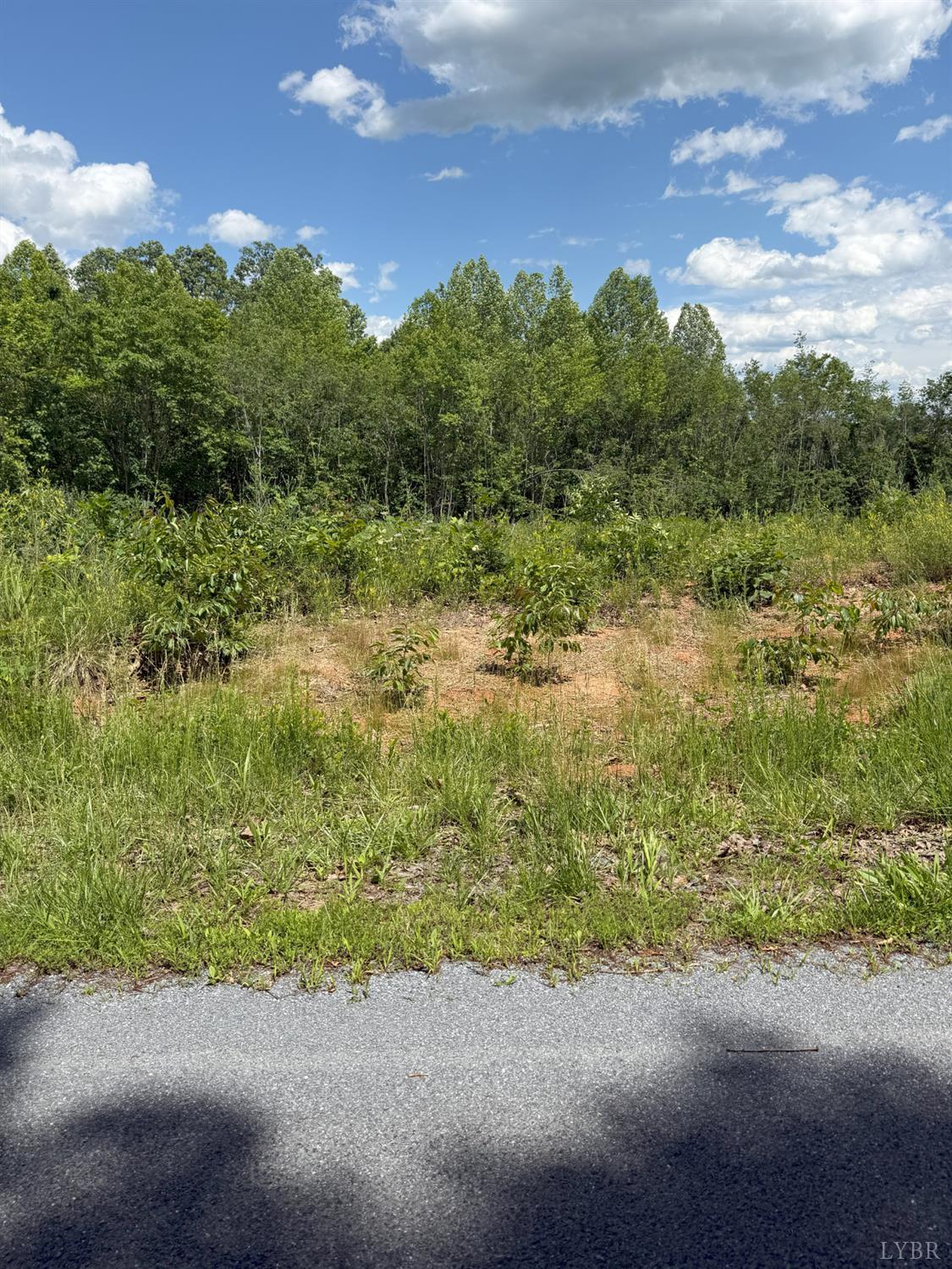 Cutbanks Road, Appomattox, Virginia image 9
