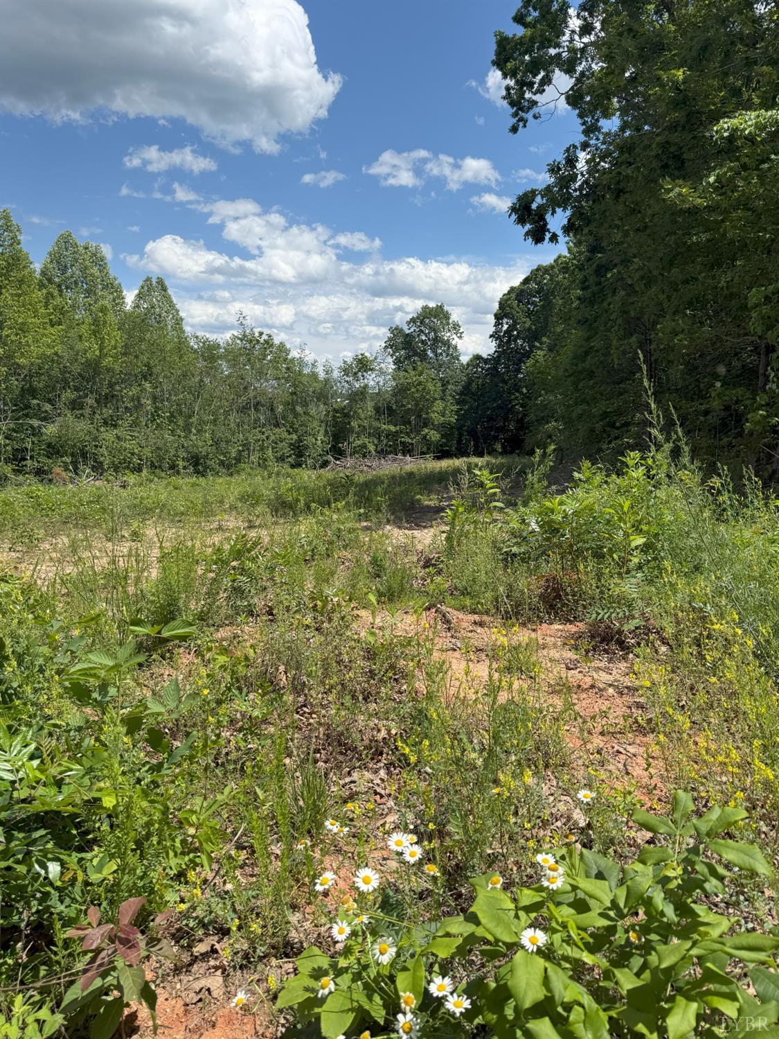 Cutbanks Road, Appomattox, Virginia image 8