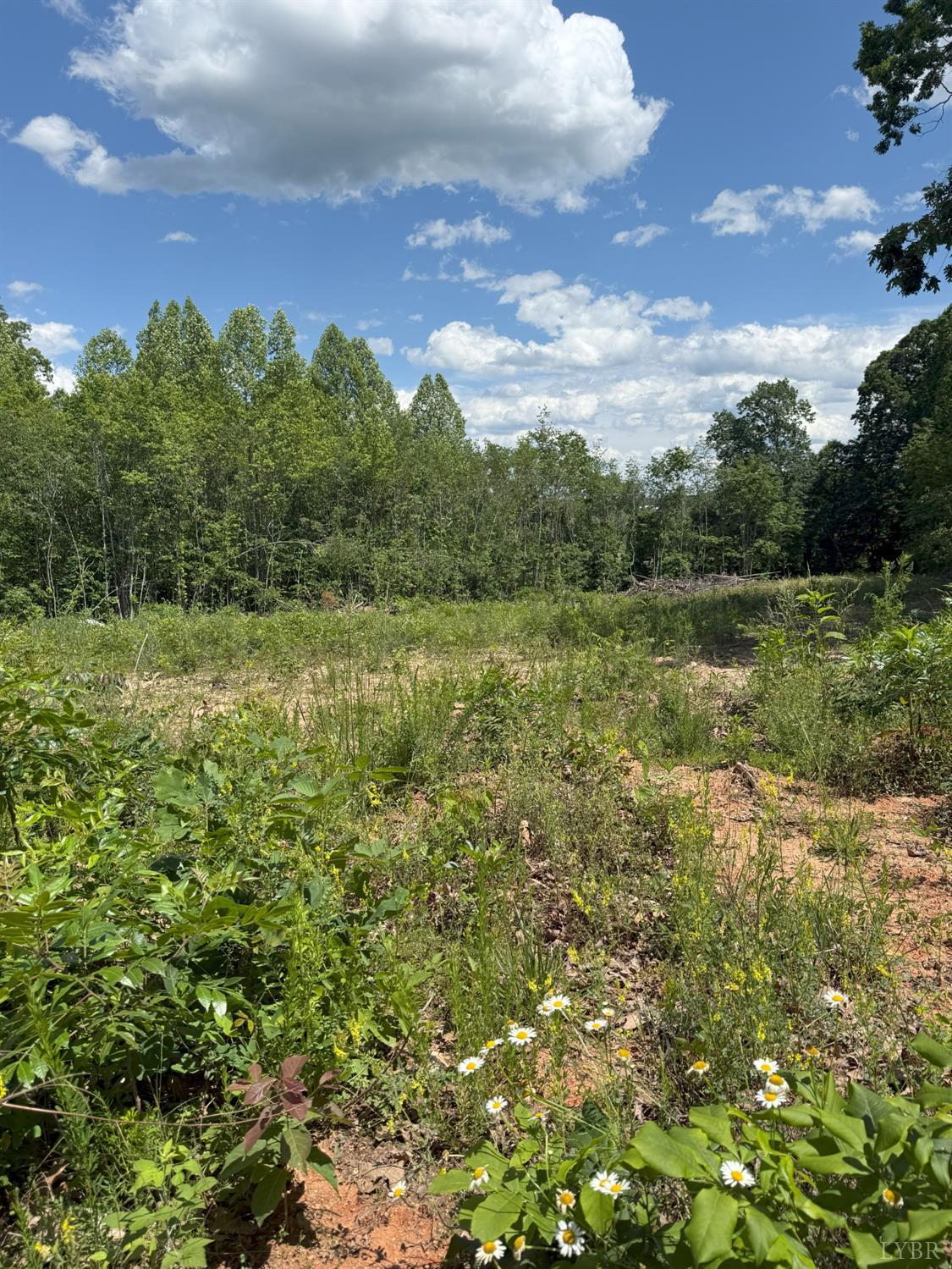 Cutbanks Road, Appomattox, Virginia image 1