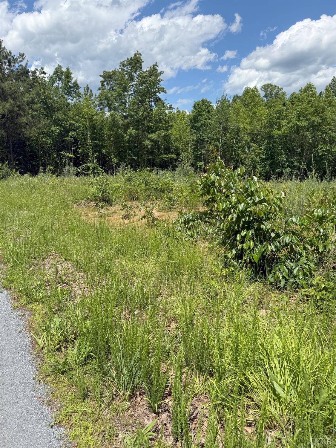 Cutbanks Road, Appomattox, Virginia image 6