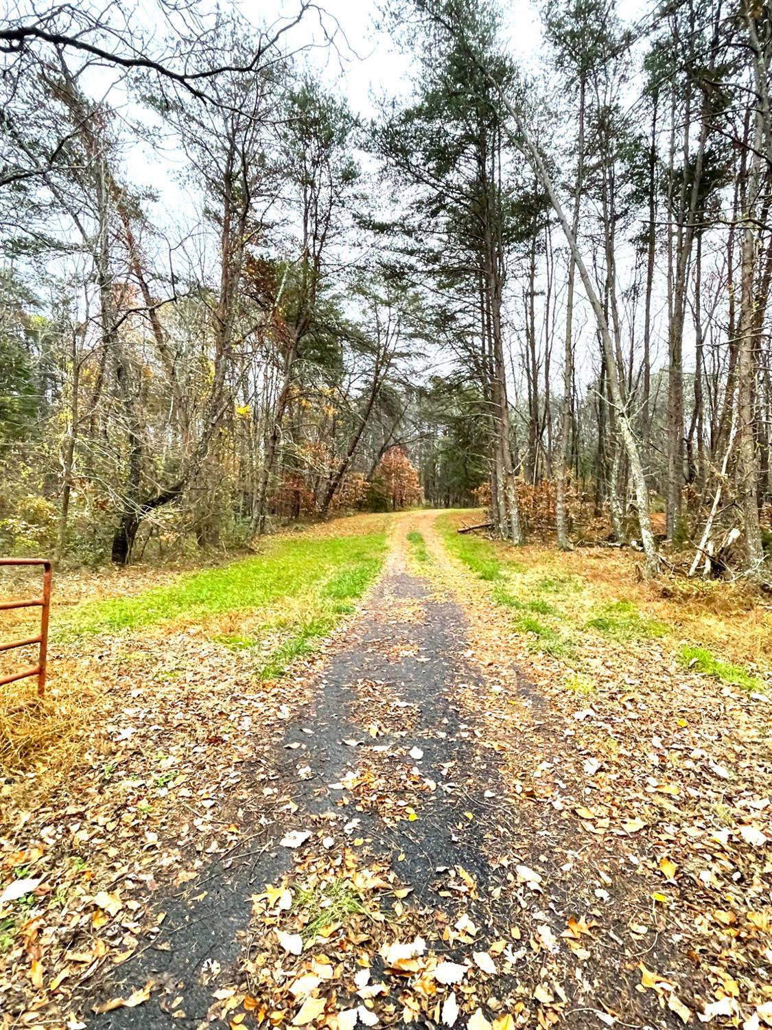 Dickerson Mill Road, Moneta, Virginia image 9