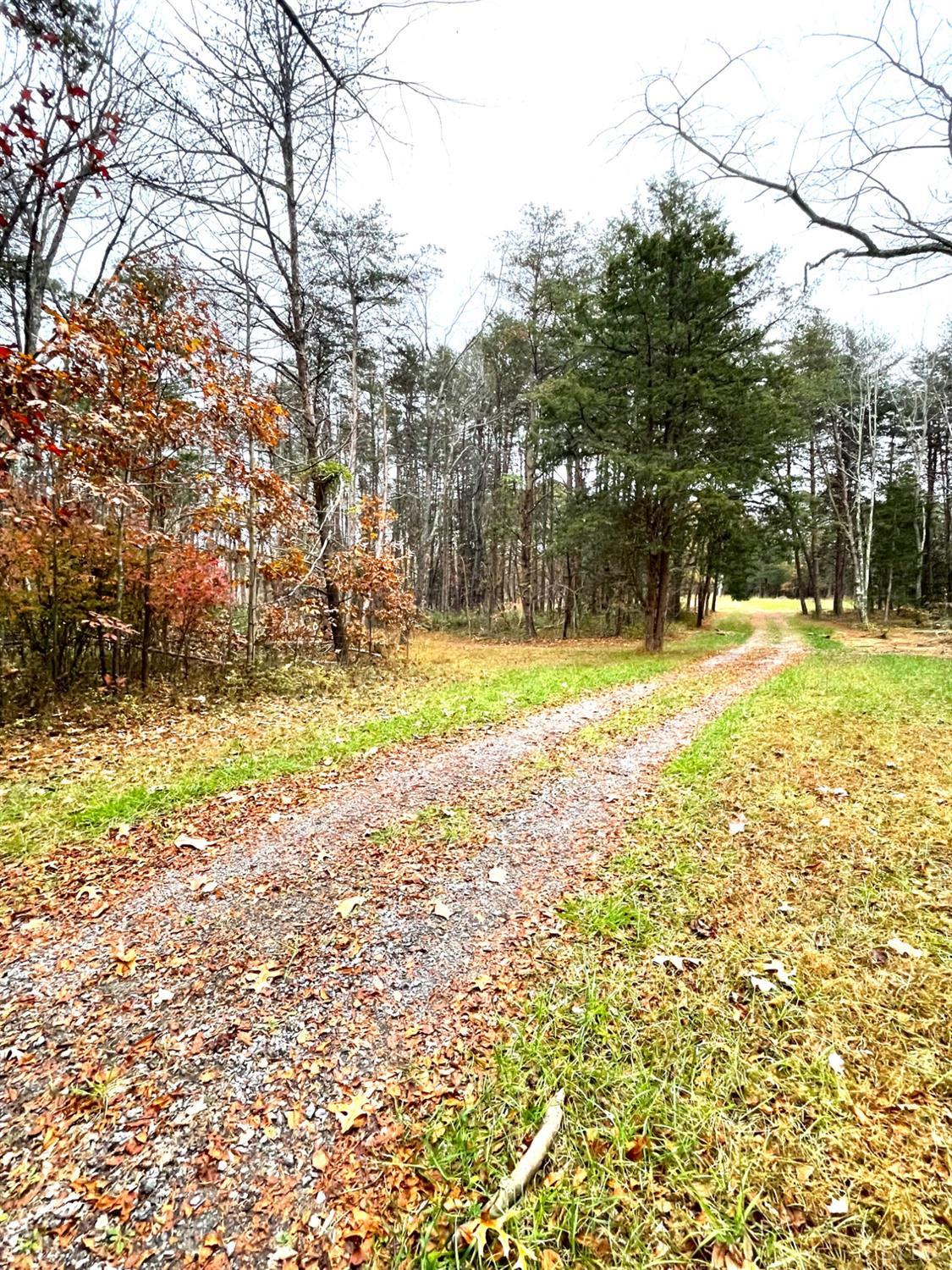 Dickerson Mill Road, Moneta, Virginia image 10