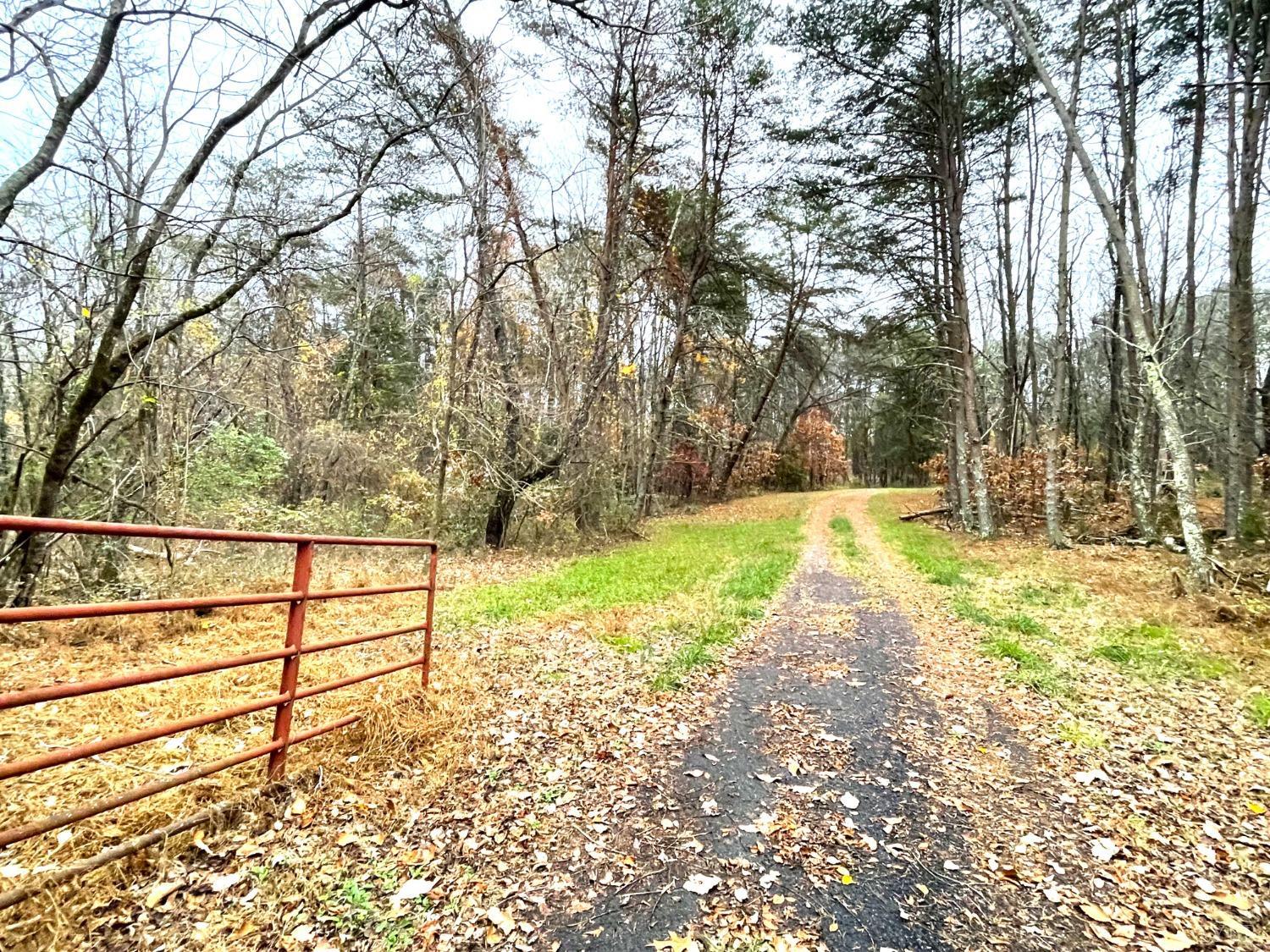 Dickerson Mill Road, Moneta, Virginia image 8