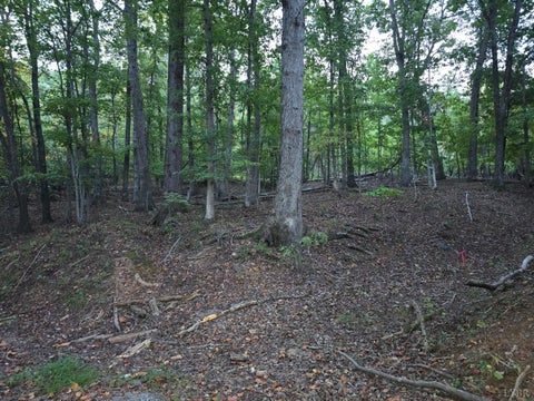 Vacant Land For Sale - Pilot Mountain Road<br/> Moneta, VA 24121