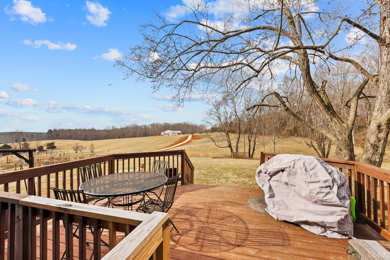 2637 Chilton Road, Appomattox, Virginia image 17