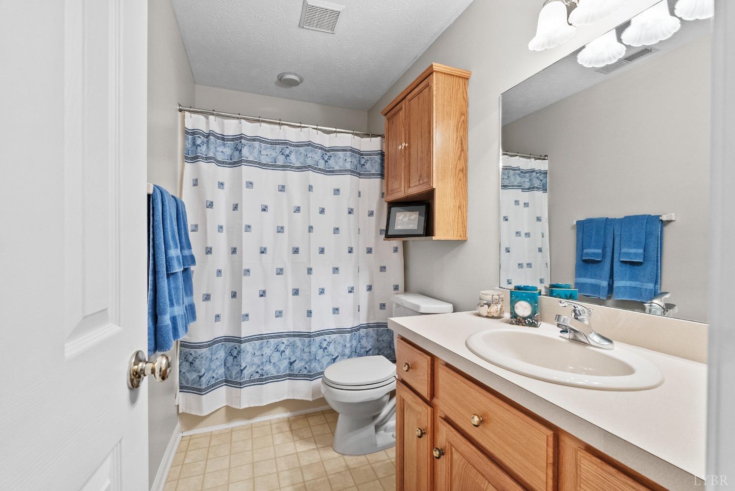 813 Lake Vista Drive, Forest, Virginia image 46