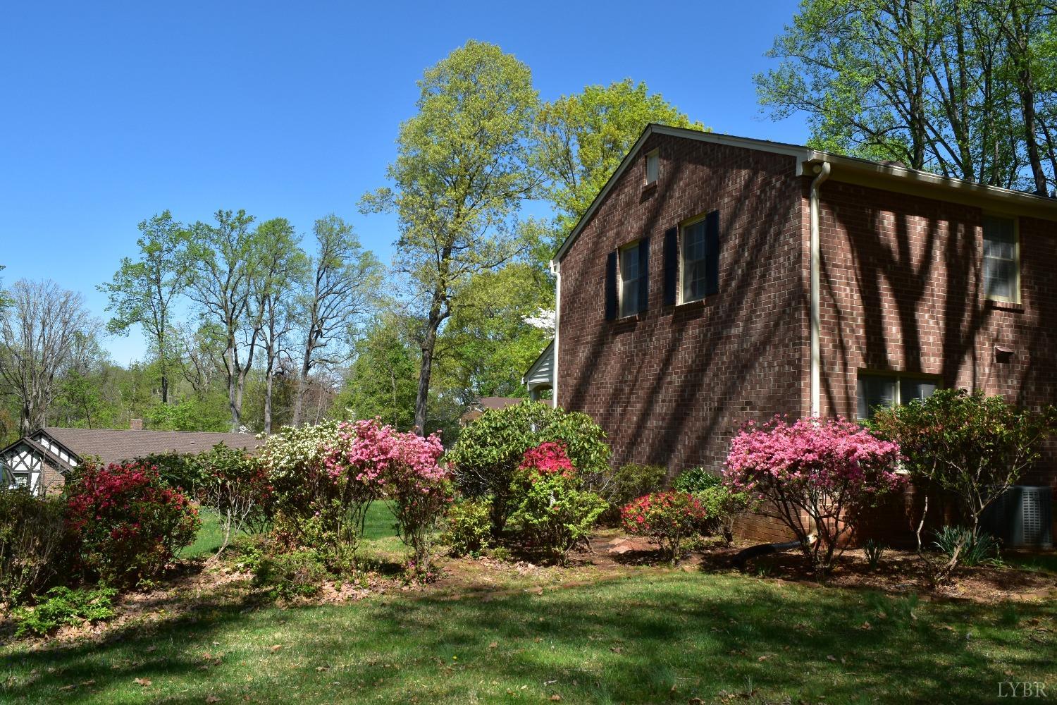 938 Wellington Drive, Forest, Virginia image 47
