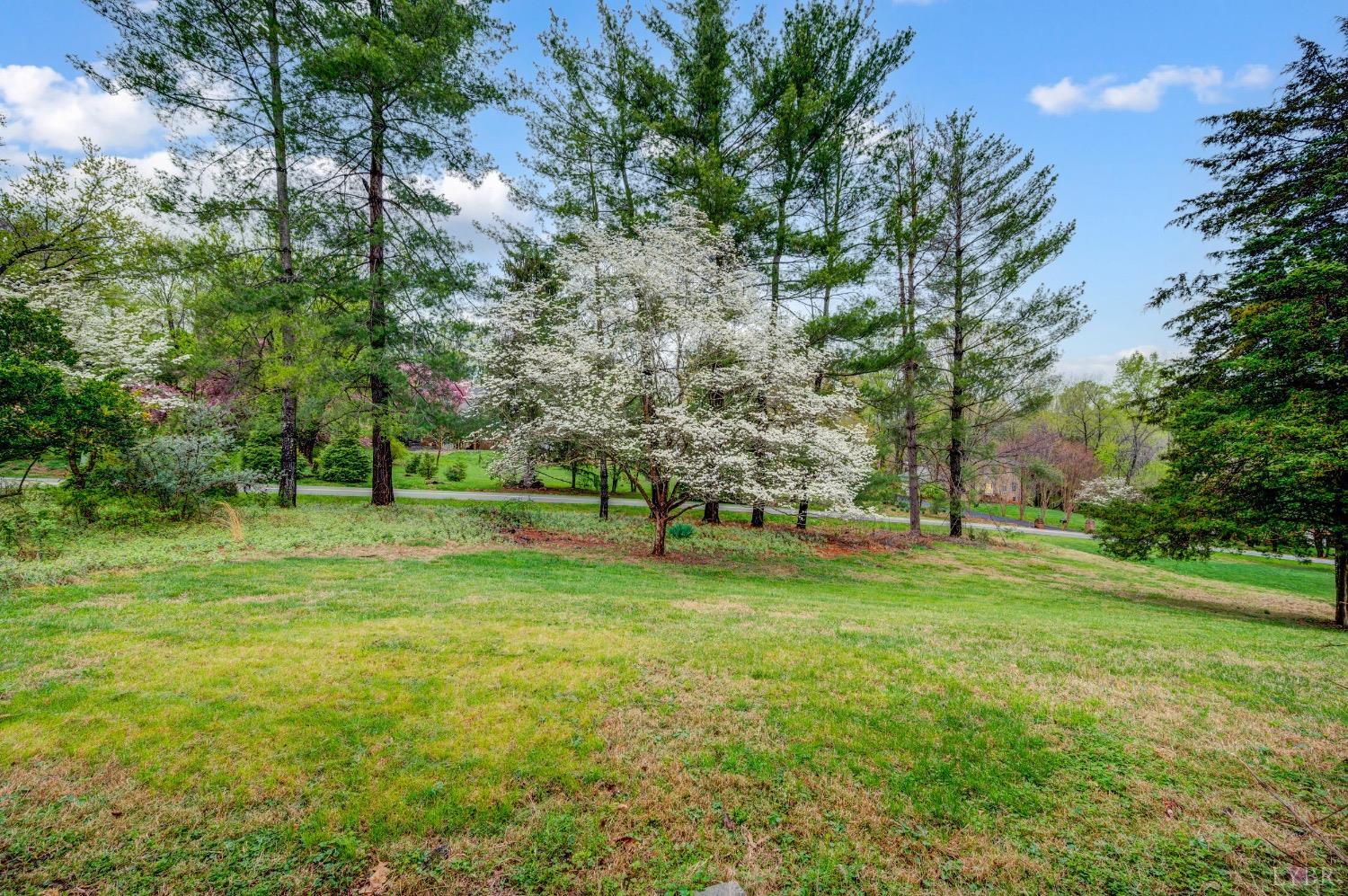 301 Quail Meadows Drive, Forest, Virginia image 43