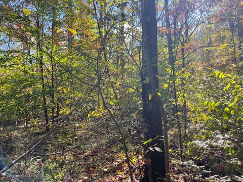 Tiny photo for 0 Hunting Creek Road, Big Island, VA 24526 (MLS # 362759)