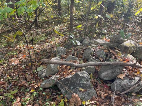 Tiny photo for 0 Hunting Creek Road, Big Island, VA 24526 (MLS # 362759)