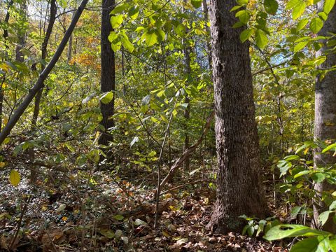 Tiny photo for 0 Hunting Creek Road, Big Island, VA 24526 (MLS # 362759)