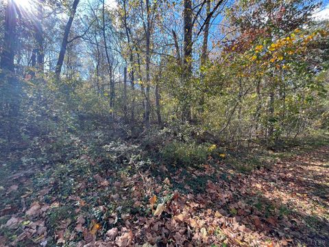 Tiny photo for 0 Hunting Creek Road, Big Island, VA 24526 (MLS # 362759)
