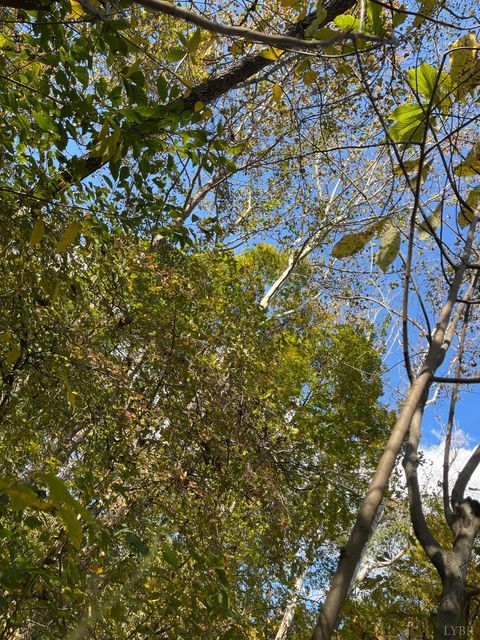 Tiny photo for 0 Hunting Creek Road, Big Island, VA 24526 (MLS # 362759)