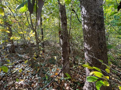 Tiny photo for 0 Hunting Creek Road, Big Island, VA 24526 (MLS # 362759)