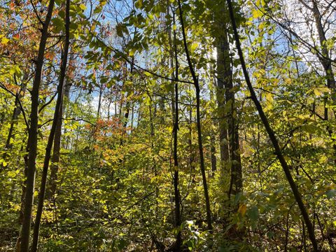 Tiny photo for 0 Hunting Creek Road, Big Island, VA 24526 (MLS # 362759)