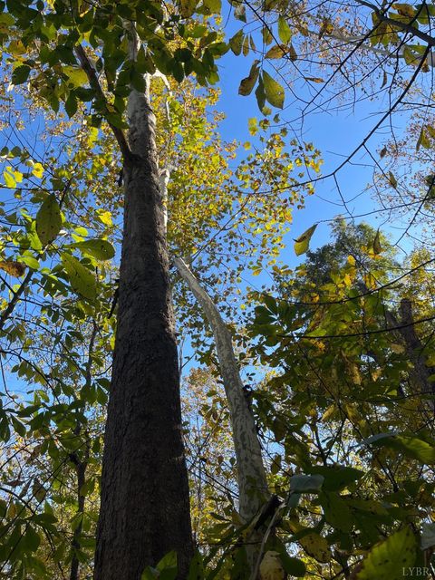 Tiny photo for 0 Hunting Creek Road, Big Island, VA 24526 (MLS # 362759)