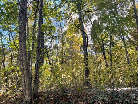 Tiny photo for 0 Hunting Creek Road, Big Island, VA 24526 (MLS # 362759)