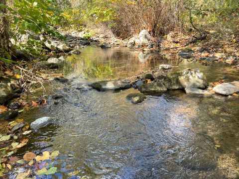 Photo of 0 Hunting Creek Road, Big Island, VA 24526 (MLS # 362759) Photo of 0 Hunting Creek Road, Big Island, VA 24526 (MLS # 362759)