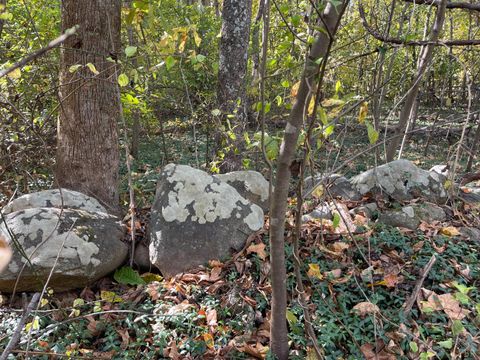 Tiny photo for 0 Hunting Creek Road, Big Island, VA 24526 (MLS # 362759)