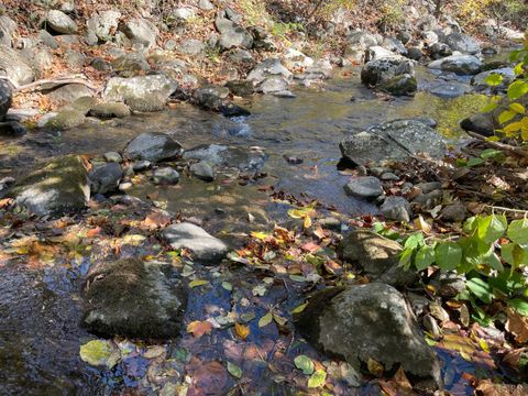 Tiny photo for 0 Hunting Creek Road, Big Island, VA 24526 (MLS # 362759)