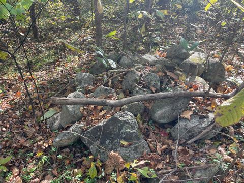 Tiny photo for 0 Hunting Creek Road, Big Island, VA 24526 (MLS # 362759)