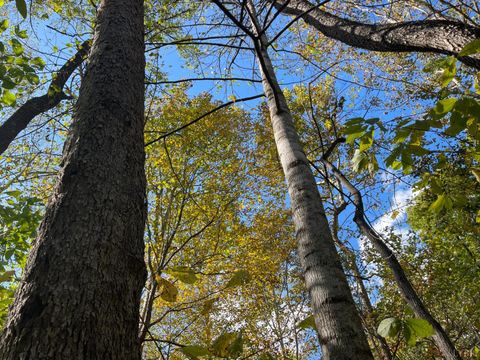 Tiny photo for 0 Hunting Creek Road, Big Island, VA 24526 (MLS # 362759)