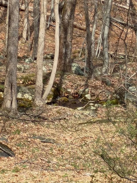 Tiny photo for 1081 Stoney Way, Bedford, VA 24523 (MLS # 365379)