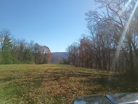 Tiny photo for 0 Wilderness Creek Rd, Monroe, VA 24574 (MLS # 366218)