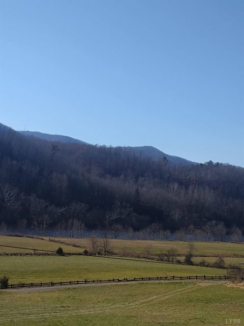 Tiny photo for 0 Wilderness Creek Rd, Monroe, VA 24574 (MLS # 366218)