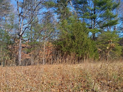 Tiny photo for 0 Wilderness Creek Rd, Monroe, VA 24574 (MLS # 366218)