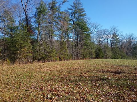 Tiny photo for 0 Wilderness Creek Rd, Monroe, VA 24574 (MLS # 366218)