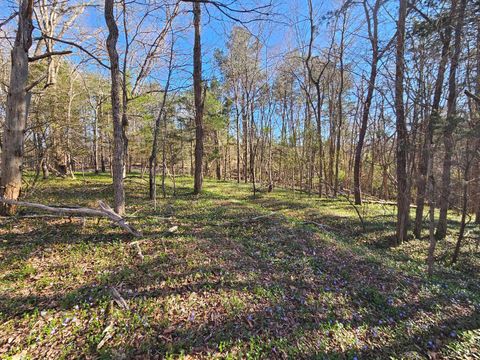 Tiny photo for 0 Layne Street, Farmville, VA 23901 (MLS # 365089)