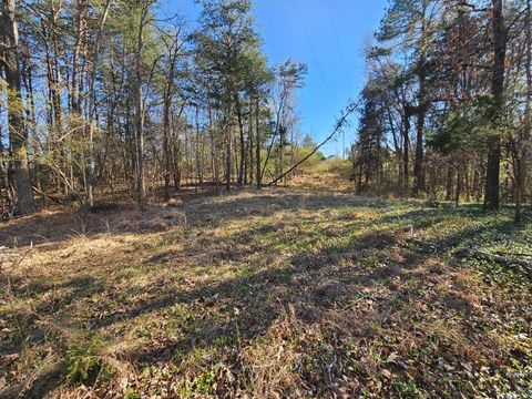 Tiny photo for 0 Layne Street, Farmville, VA 23901 (MLS # 365089)