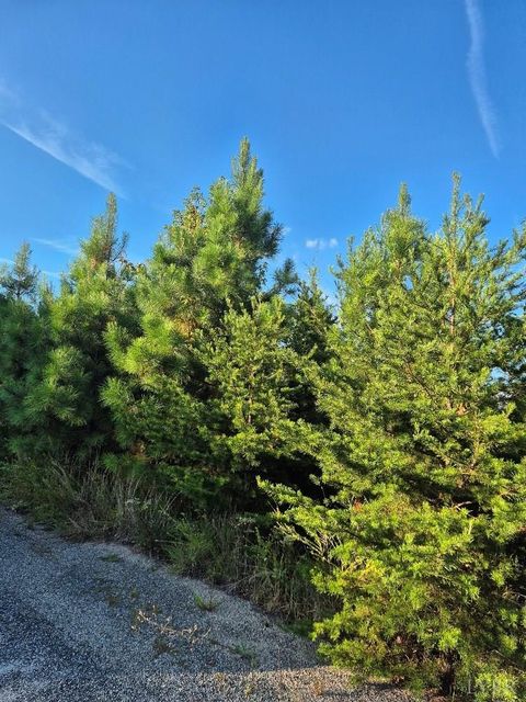 Tiny photo for 0 Fort Drive, Pamplin, VA 23958 (MLS # 361894)