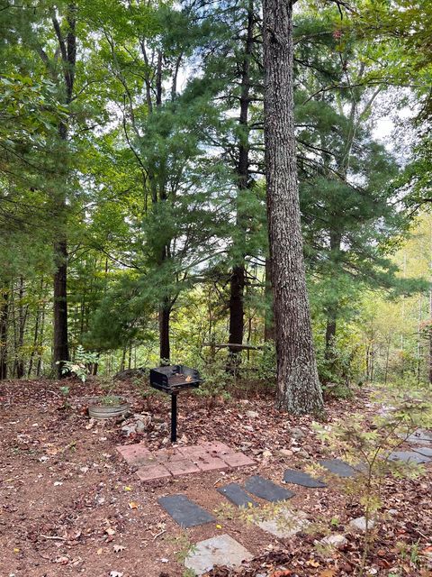 Tiny photo for 553 Gun Mountain Dr Dr, Monroe, VA 24574 (MLS # 362409)