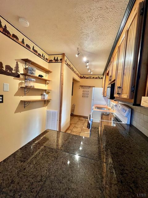 Tiny photo for 553 Gun Mountain Dr Dr, Monroe, VA 24574 (MLS # 362409)