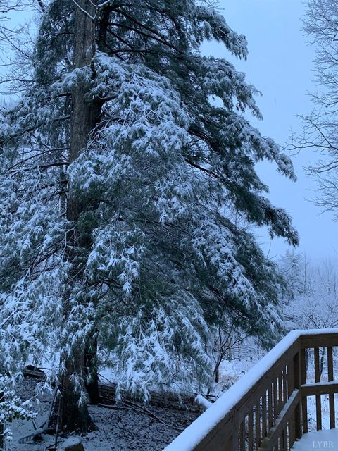Tiny photo for 553 Gun Mountain Dr Dr, Monroe, VA 24574 (MLS # 362409)