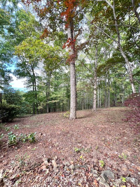 Tiny photo for 553 Gun Mountain Dr Dr, Monroe, VA 24574 (MLS # 362409)