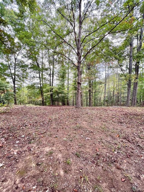 Tiny photo for 553 Gun Mountain Dr Dr, Monroe, VA 24574 (MLS # 362409)