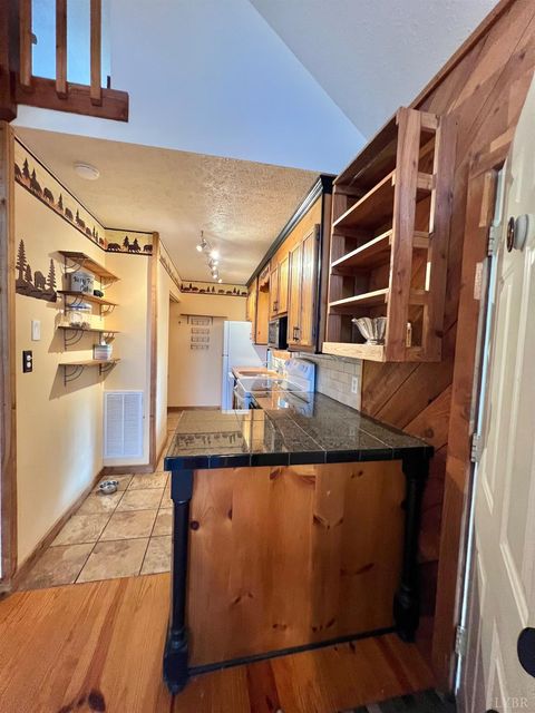 Tiny photo for 553 Gun Mountain Dr Dr, Monroe, VA 24574 (MLS # 362409)
