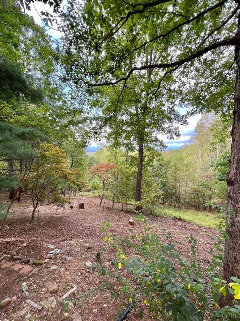 Tiny photo for 553 Gun Mountain Dr Dr, Monroe, VA 24574 (MLS # 362409)