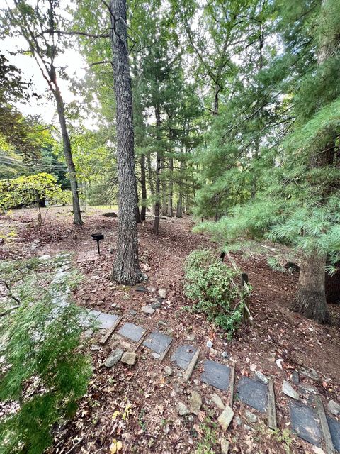 Tiny photo for 553 Gun Mountain Dr Dr, Monroe, VA 24574 (MLS # 362409)