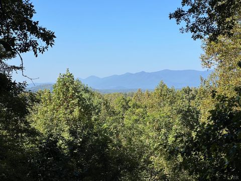 Tiny photo for 553 Gun Mountain Dr Dr, Monroe, VA 24574 (MLS # 362409)